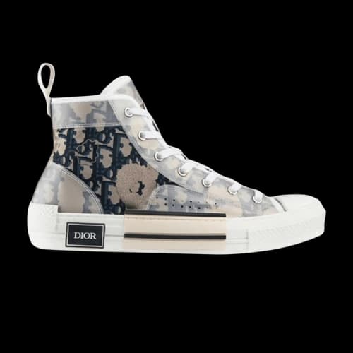 Dior B23 High 'Safari'