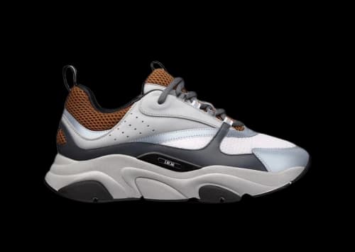 Dior B22 Coffee White Gray Black