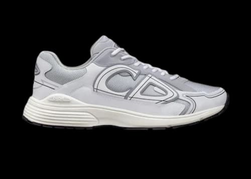 Dior B30 Grey