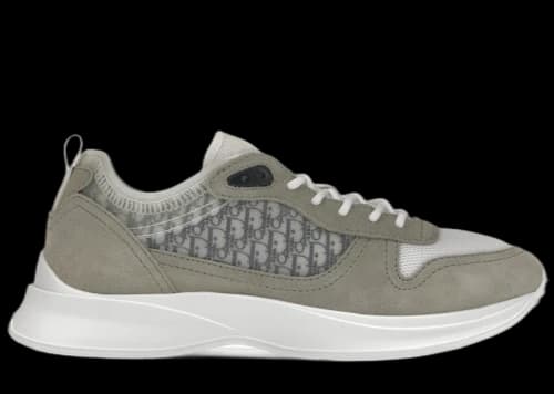 Dior B25 Runner Grey