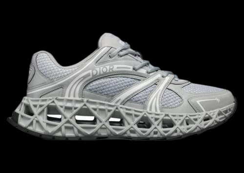 Dior B35 NXXT Gray