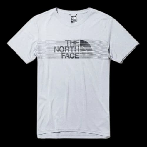 THE NORTH FACE logo Round Neck Short Sleeve light grey