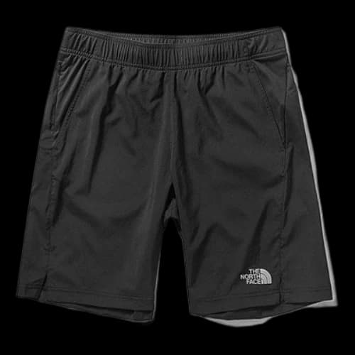 THE NORTH FACE Sportwear Shorts 'Black'