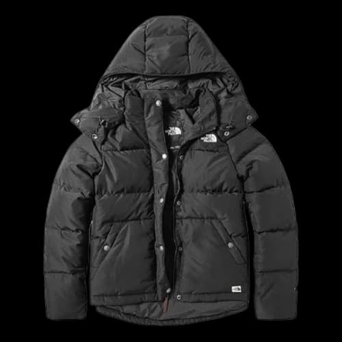 THE NORTH FACE Winter Puffer Jacket 'Black' (Women's)
