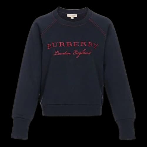 Burberry Logo Embroidered Hoodie Deep Blue (Women's)
