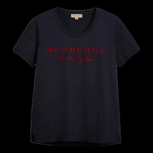 Burberry T Blue