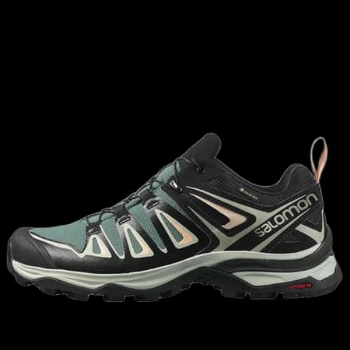 Salomon X Ultra 3 Gtx 'Black Dark Green' (Women's)