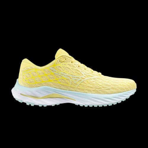 Mizuno Wave Inspire 20 'Anise Flower' (Women's)