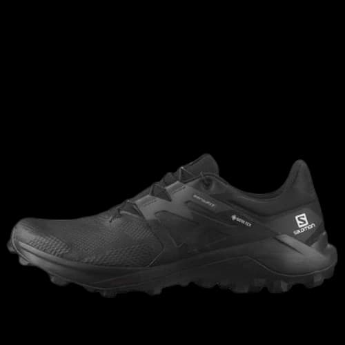 Salomon Wildcross 2 Gore-Tex