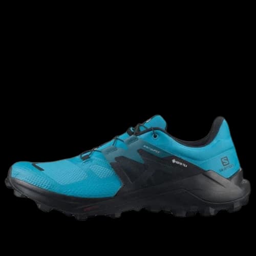 Salomon Wildcross 2 Gtx 'Blue Black'