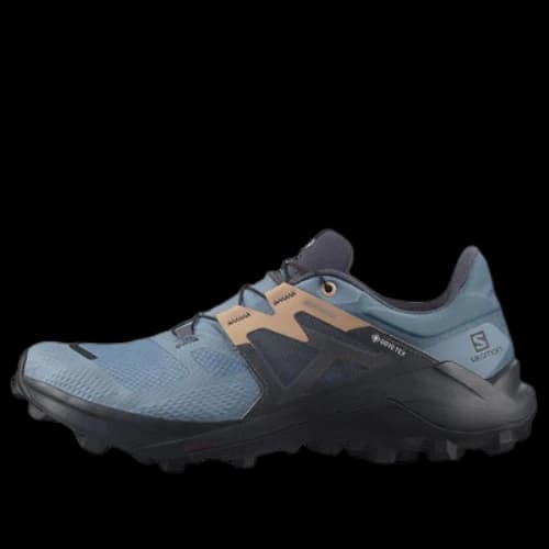 Salomon Wildcross 2 Gore-Tex (Women's)