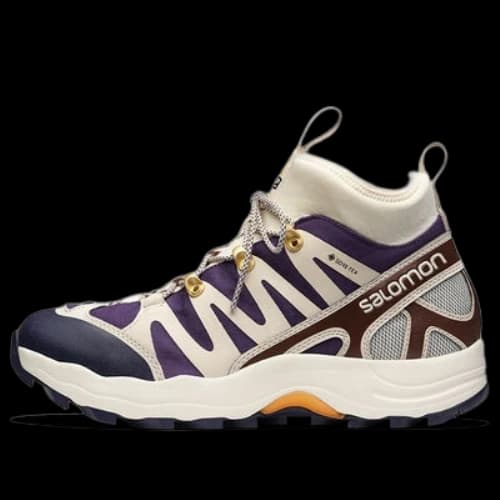SALOMON Xa Pro 1 Mid Gore-Tex 'Cream Purple Brown'