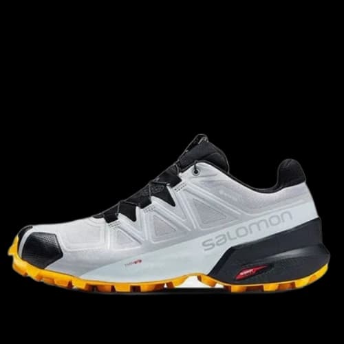 SALOMON Speedcross 5 GTX 'Gray Black'