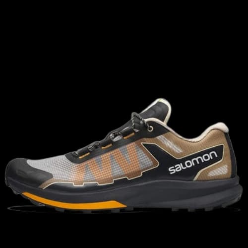 Salomon Ultra Raid 'Black Brown'