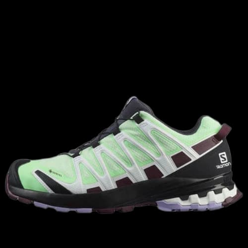 SALOMON Xa Pro 3d V8 Gtx 'Green Black' (Women's)