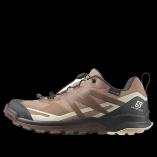 SALOMON XA Rogg 2 GTX 'Feather Grey'