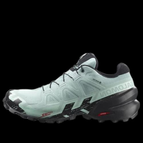 Salomon Speedcross 6 Gtx 'Green' (Women's)
