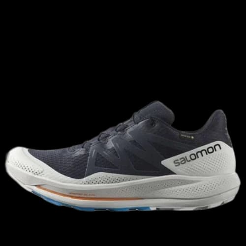 Salomon Pulsar Trail GTX 'Night Sky'