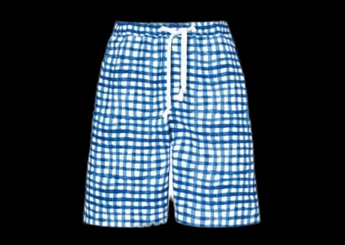 Uniqlo x MARNI 2way Check Utility Shorts (Asia Sizing) Blue