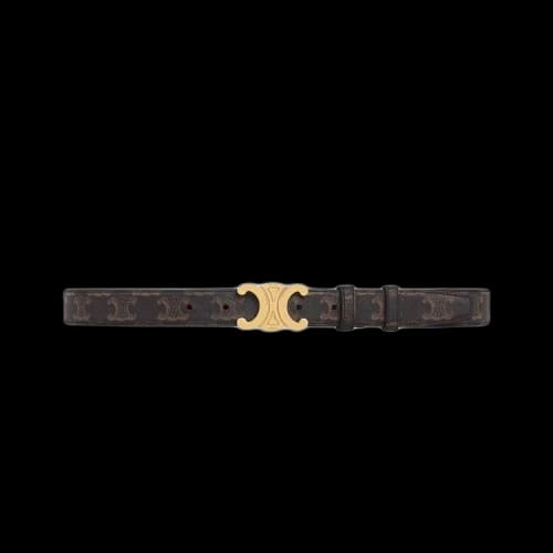 CELINE Medium Triomphe Belt 'Tan'