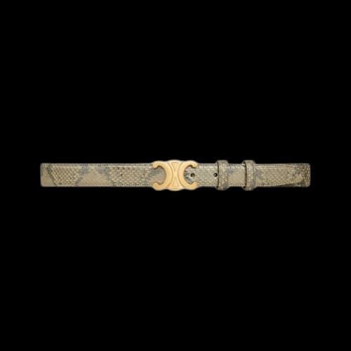 CELINE Medium Triomphe Belt 'Natural'