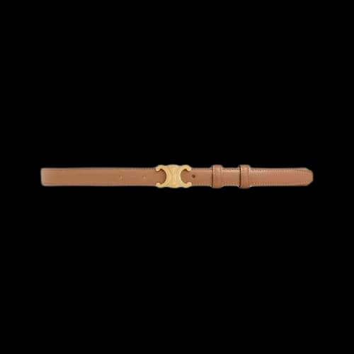 CELINE Small Triomphe Belt 'Bronze'