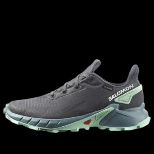 Salomon Alphacross 4 Gore-Tex (Women's)