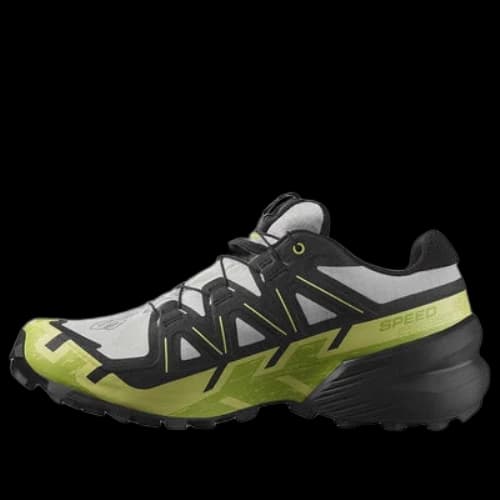 Salomon Speedcross 6 Gore-Tex 'Gray Green Black'