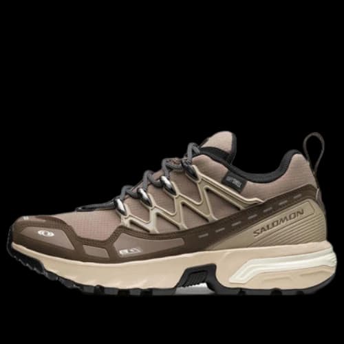 SALOMON Acs + Cswp 'Falcon'