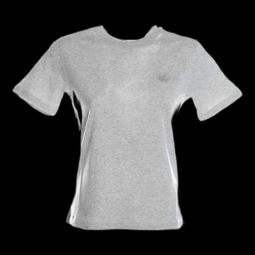 McQ Alexander McQueen Embroidered Round Neck Pullover Short Sleeve light grey