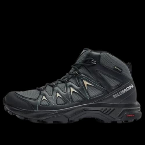 SALOMON X Braze Mid GTX 'Black'