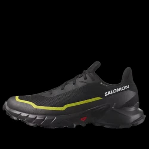 SALOMON Alphacross 5 Gtx 'Black Yellow'