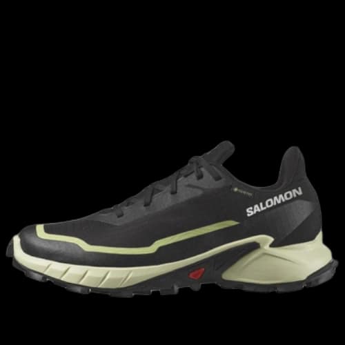 SALOMON Alphacross 5 GTX 'Black Green' (Women's)