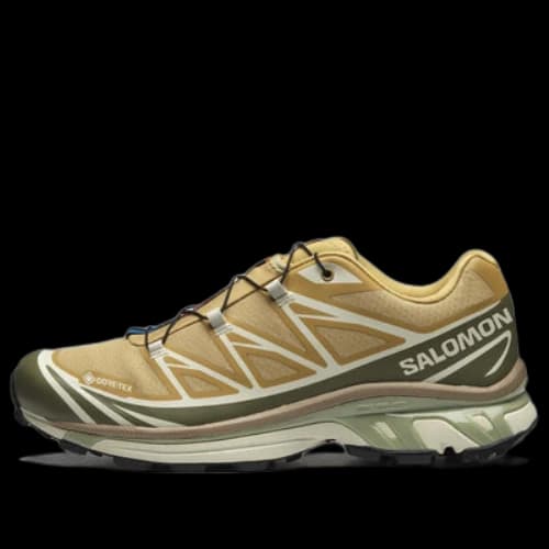 SALOMON XT-6 Gore-Tex 'Antelope Portabella'