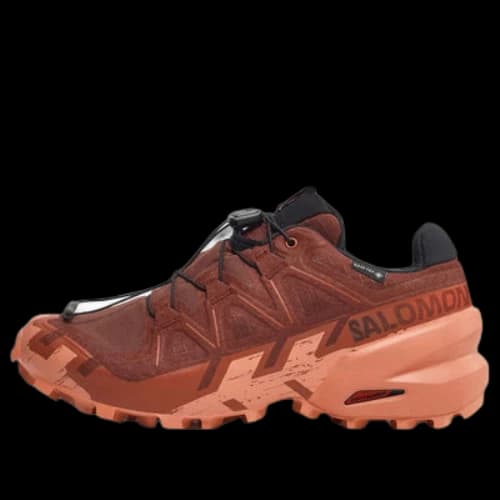 Salomon Speedcross 6 GTX 'Rum Raisin Barn Red' (Women's)