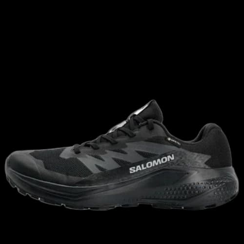 SALOMON Alphaglide GTX 'Black'