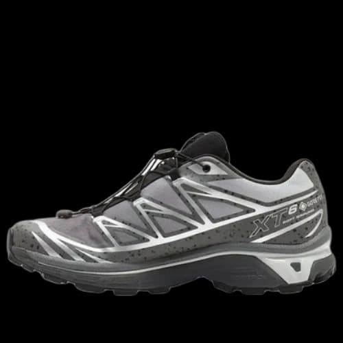 SALOMON x atmos XT-6 Gore-Tex 'Concrete Jungle'