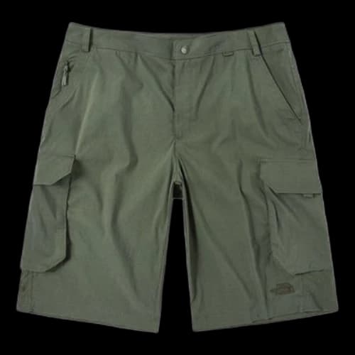 THE NORTH FACE Cargo Shorts 'Green'
