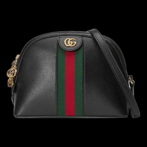 Gucci luggage Single-Shoulder Bag (Women's)