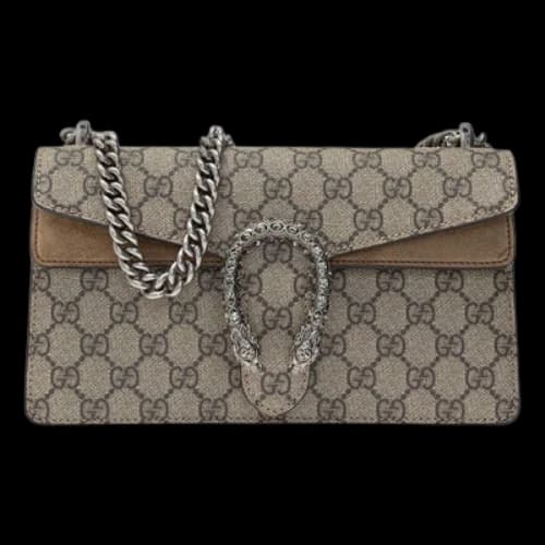 Gucci GG Dionysus Small-Sized Single-Shoulder Bag Grey/Brown (Women's)
