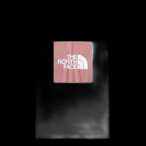 THE NORTH FACE Unisex Flash Dry Box Logo Tee White