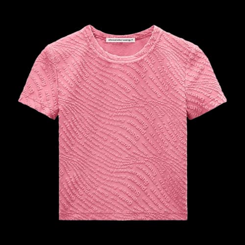 Alexander Wang Jacquard Logo Baby Tee 'Lotus'