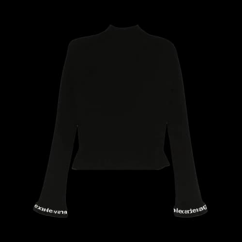Alexander Wang Logo Ribbed Long-Sleeve Zip Turtleneck Pullover 'Black'