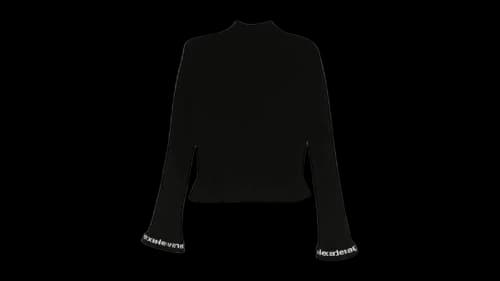 Alexander Wang Women's Logo Ribbed Ls Zip Turtleneck Pullover Black