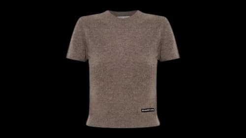 Alexander Wang Women's Knit Logo Label Ss Crewneck Tee Brown