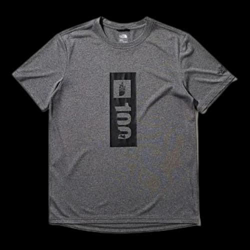 THE NORTH FACE TNF100 Outdoor Sports Short Sleeve Couple Style Gray