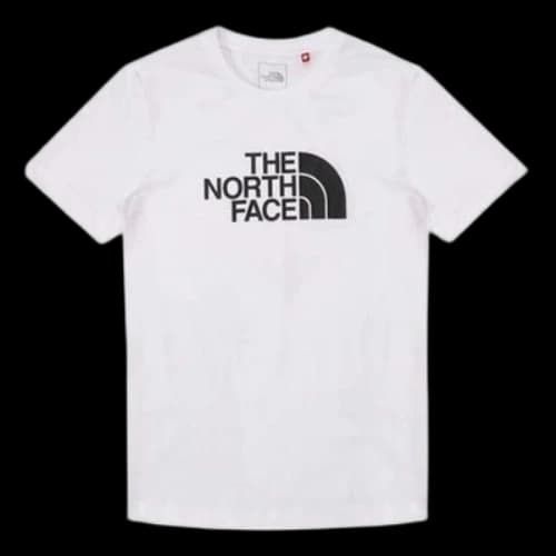 THE NORTH FACE Classic Logo T-Shirt 'White'