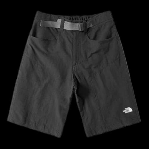 THE NORTH FACE Casual Shorts 'Black'