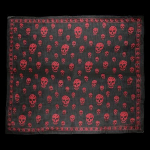 Alexander McQueen Skull Print Silk Scarf Black Red