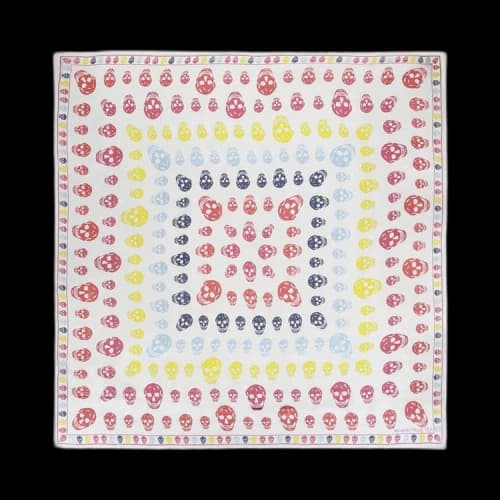 Alexander McQueen Box Skull Scarf 'White'